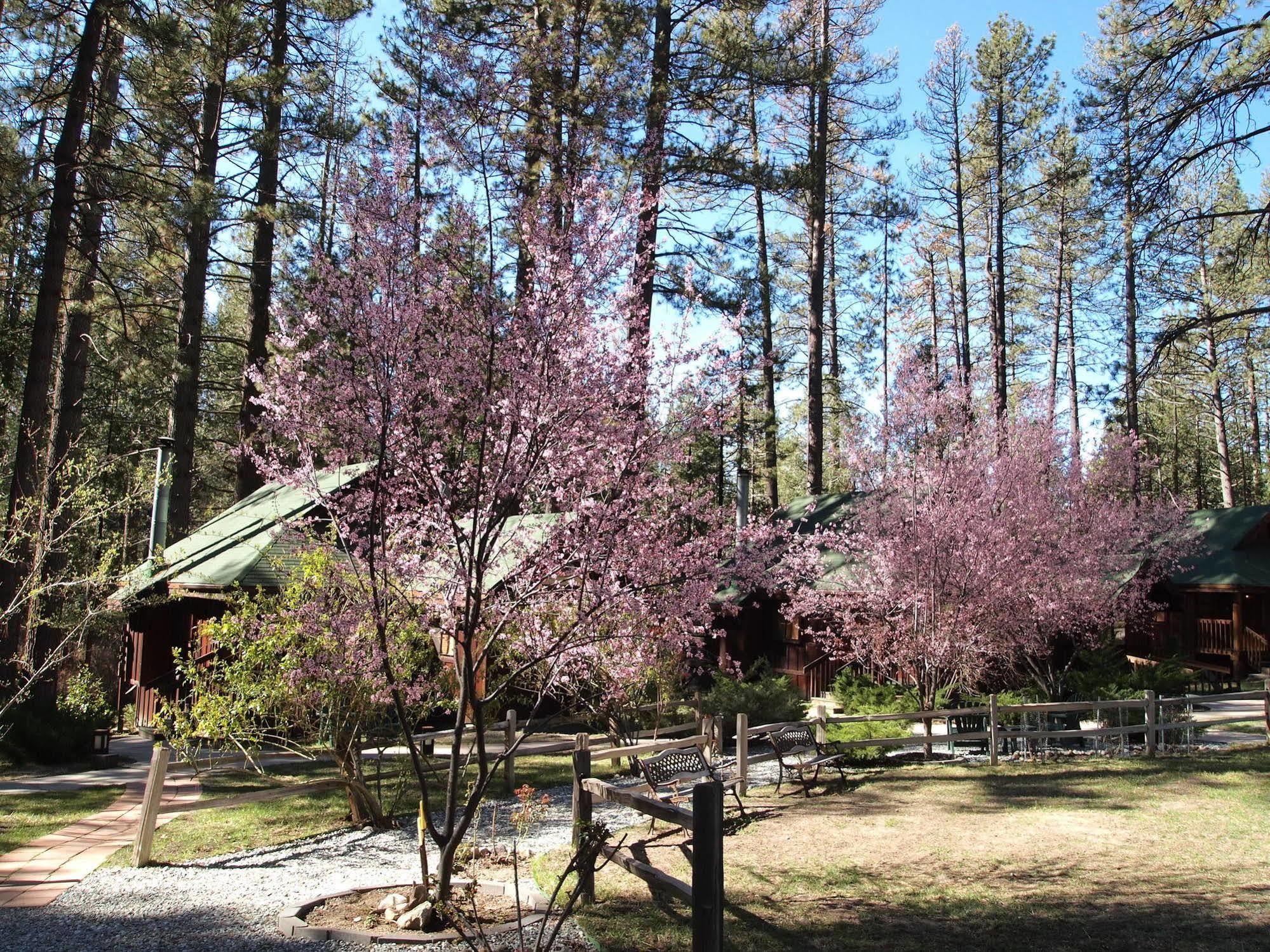 Inn Quiet Creek Idyllwild