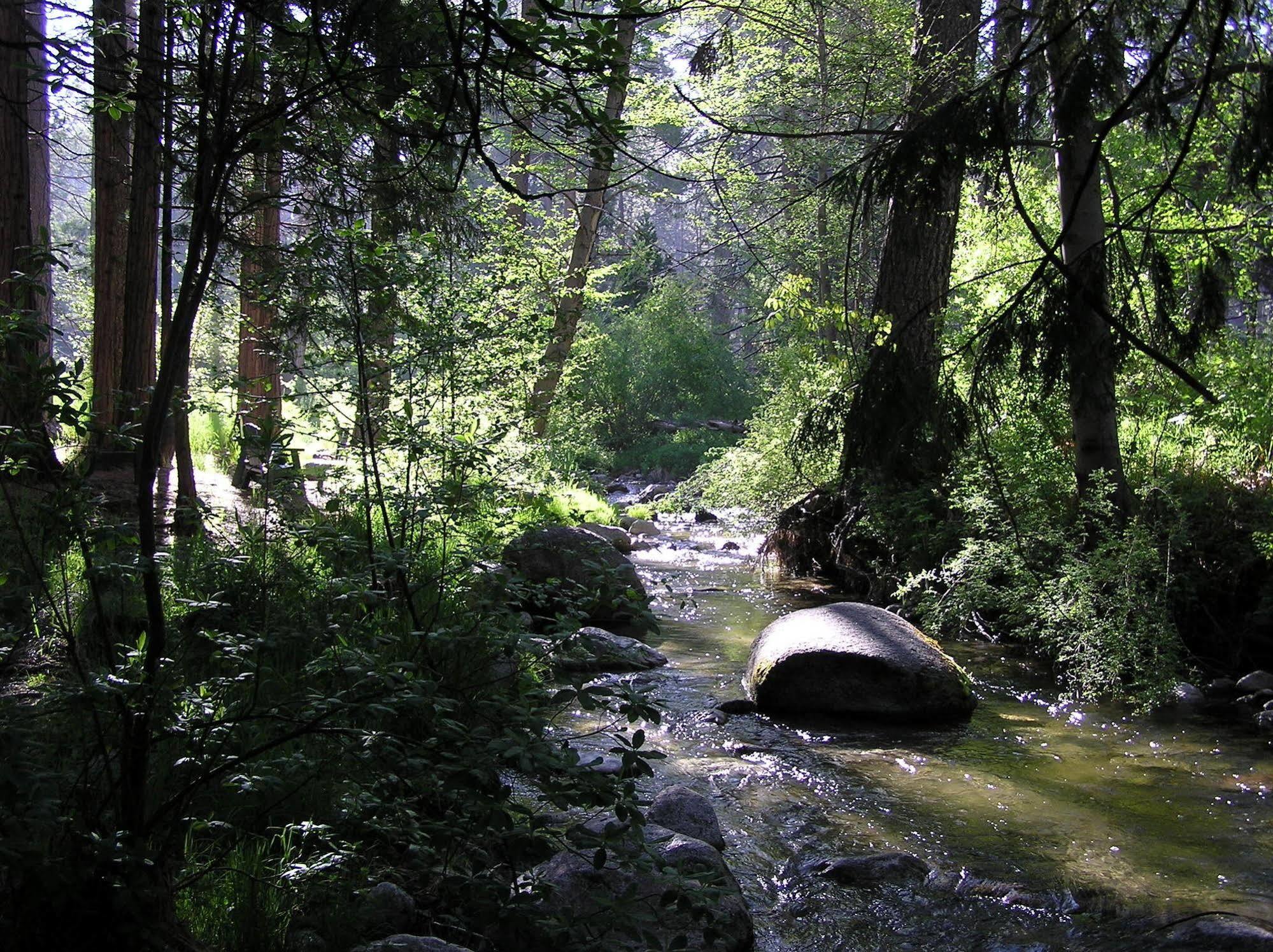 Quiet Creek 3*