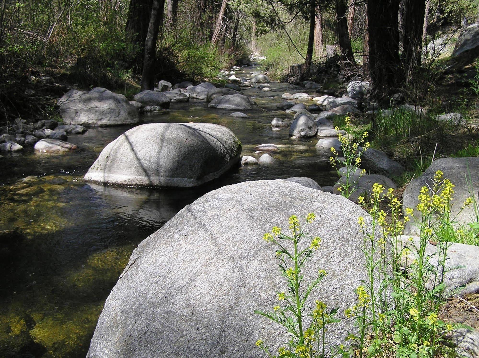 Quiet Creek Locanda