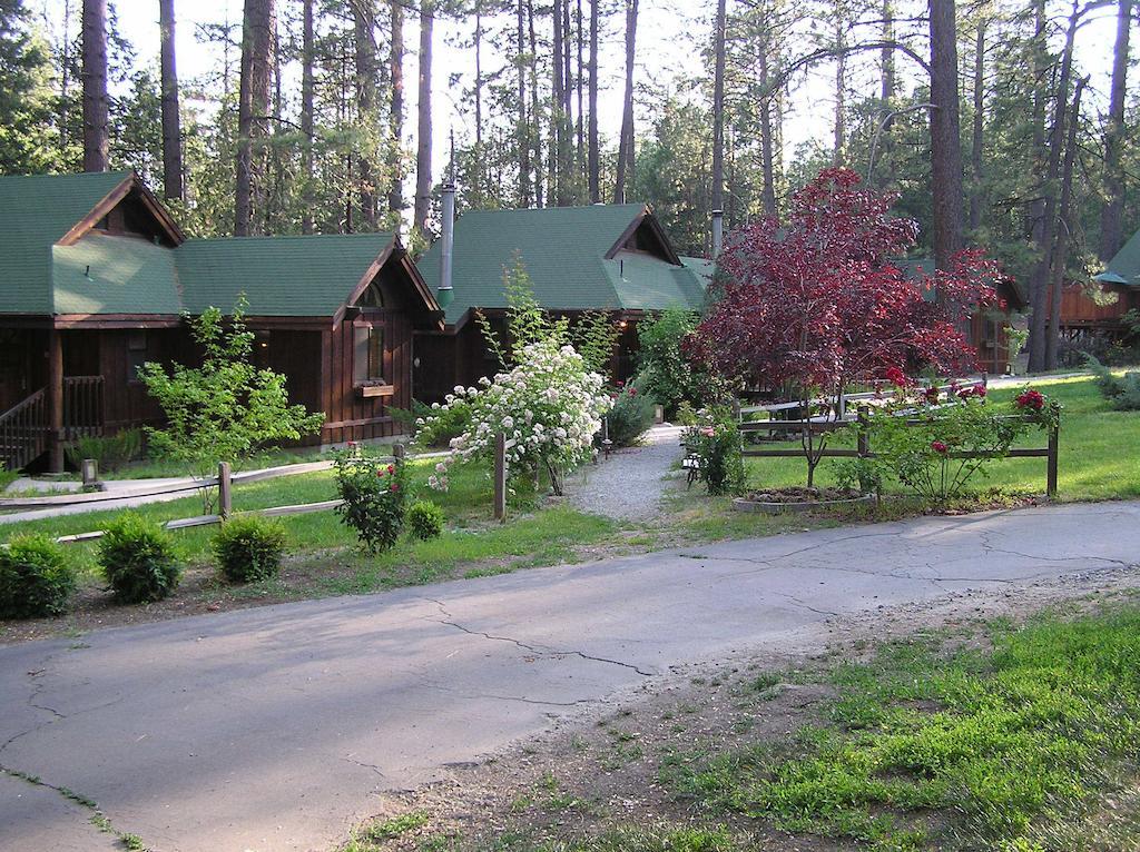Quiet Creek 3* Idyllwild